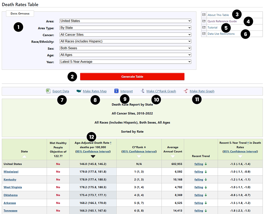 section of Death Rates Report showing text descriptions of controls