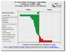 Picture of a 5 Year Rate Change bar graph